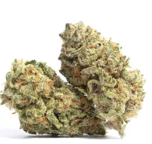Super Glue