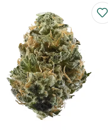 Gelato-41